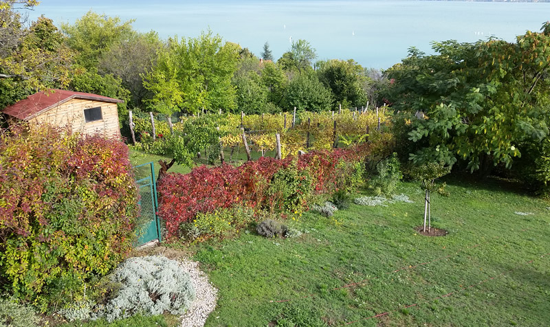 Garden view of the apartment in Tihany